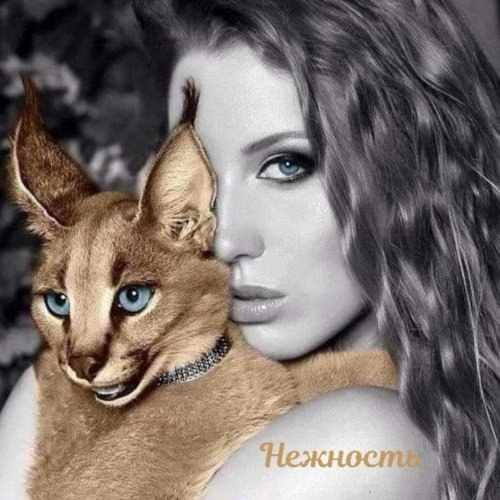 ..... ,  .?   ,  - ....?     ...