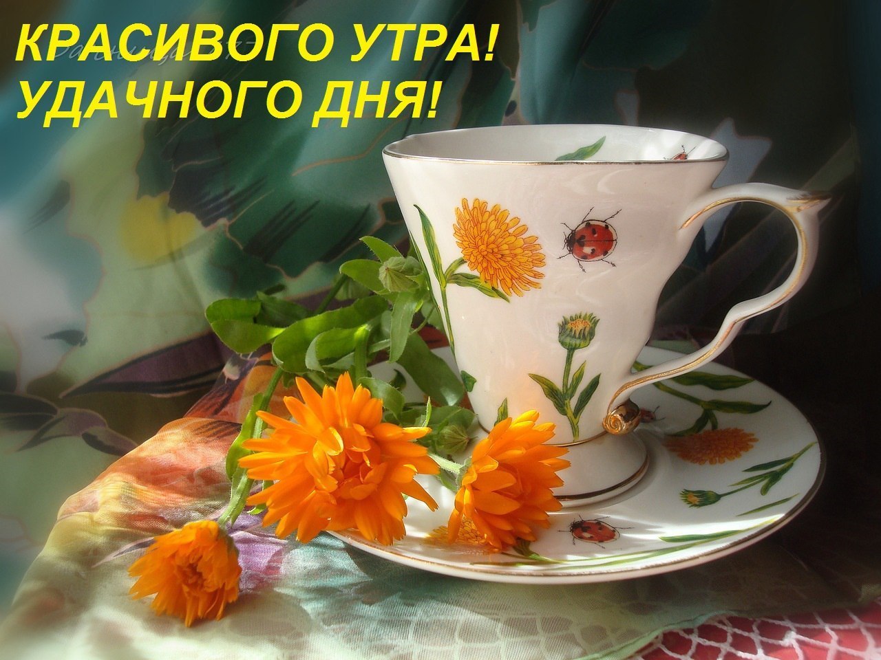   ,    . - 12  2021  11:15 - 4