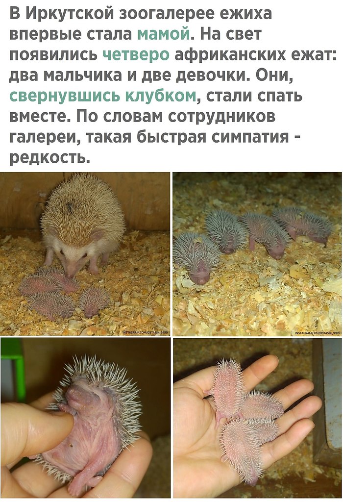    - 18  2021  16:31