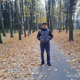 ������, �����-���������, 44 ����