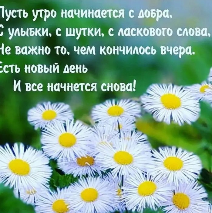   ,    . - 3  2021  00:43 - 3