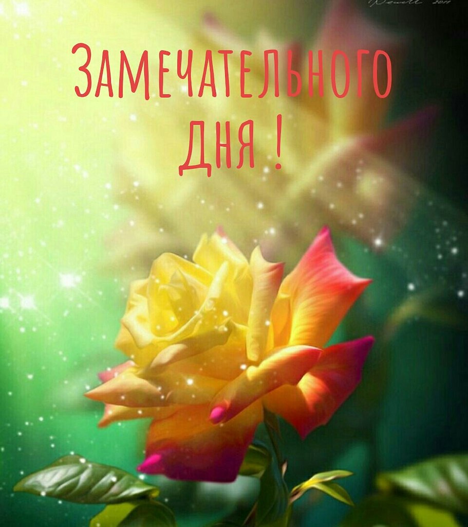   ,    . - 23  2021  11:52 - 8