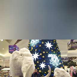 ���� ������, ���������, 40 ��� - ��������� 21 ������� 2021