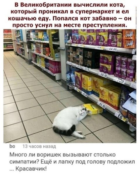   ))