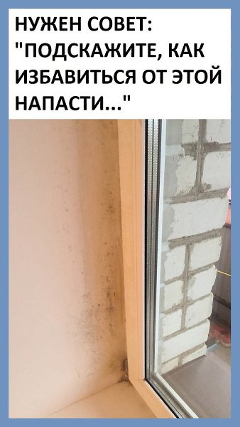 Все о дизайне интерьера.Распространённая проблема у многих владельцев пластиовых оон. Поделитесь, а ...