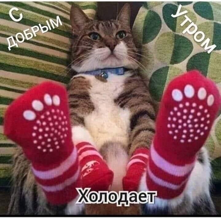  - 5  2021  07:32