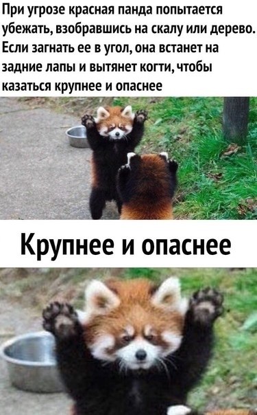 ? ,  ! - 15  2022  23:40