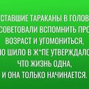 ���� ������, �����-���������, 48 ��� - ��������� 9 �������� 2021 � ������ ������ ��������