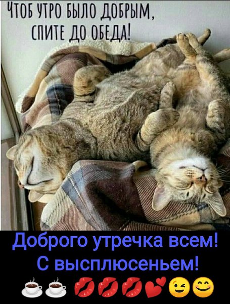 ***Victoria Viktorovna*** - 23  2022  08:35