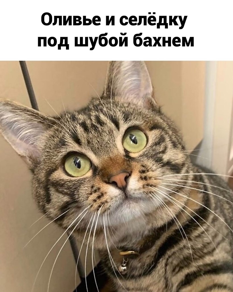  ,    , !  - 3