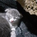 ���� ��������, ������ - ��������� 23 ������ 2021 � ������ ���� ����������