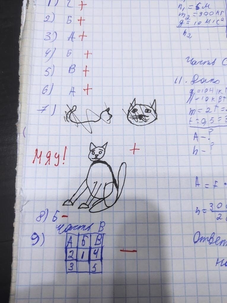  ,     ,        ... - 8
