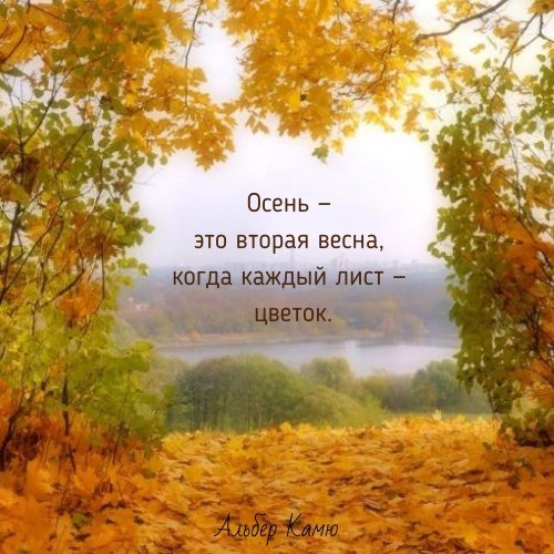   ,    . - 6  2021  21:18