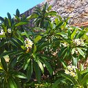 ���� Lina, ����� - ��������� 18 ������� 2021 � ������ ���� ����������