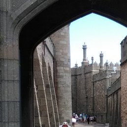 �����, ������