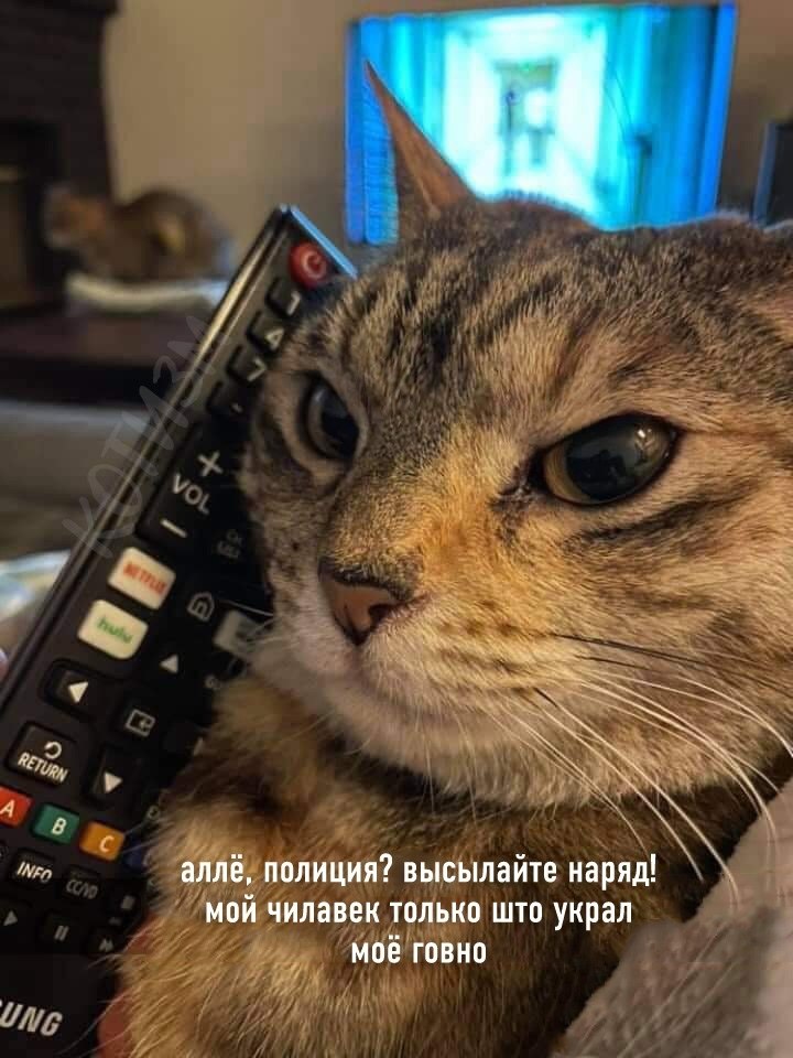  - 26  2021  19:37