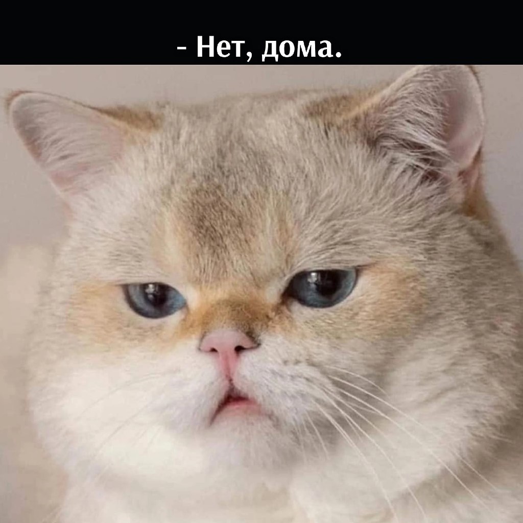       - 14  2022  19:13 - 4