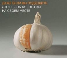  - 10  2021  20:16