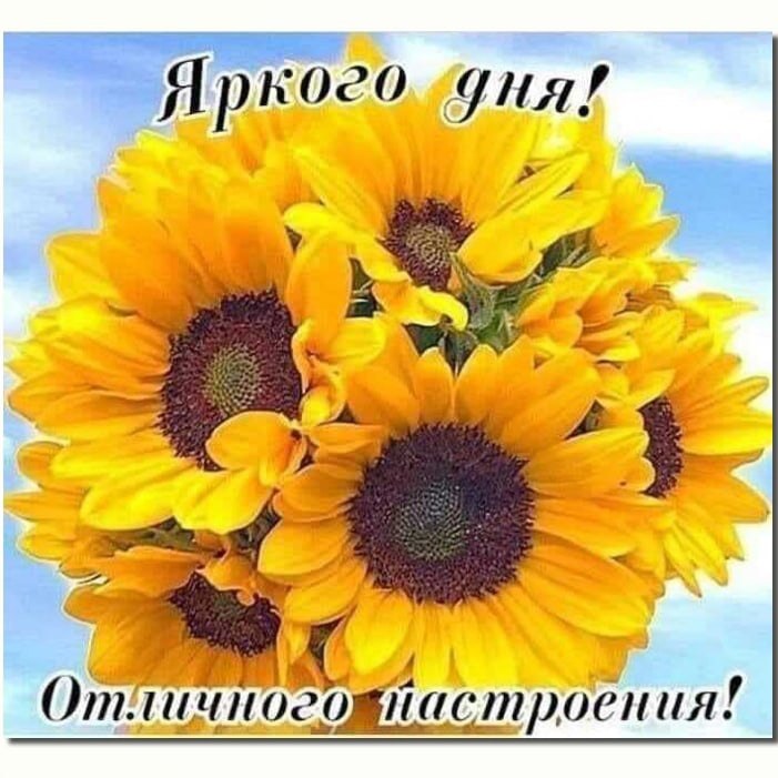  ,    . - 27  2021  07:06 - 6