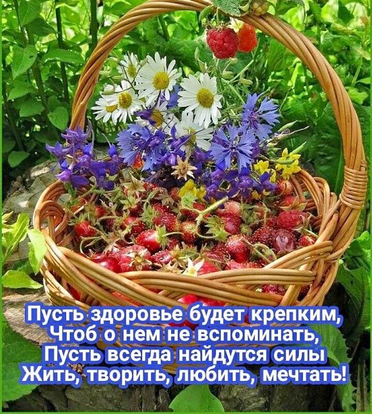   ,    . - 21  2021  23:57 - 2