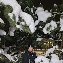  ,  , 62  -  16  2022    