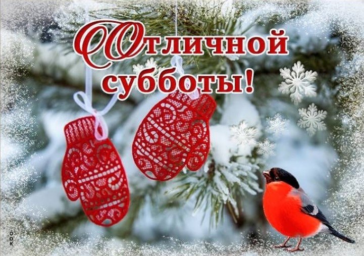  ,    . - 8  2022  13:41 - 8