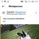 , , 41  -  8  2021