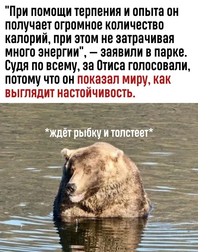 ,    - 3
