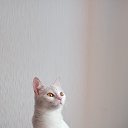 ���� ������, �����-��������� - ��������� 18 �������� 2021 � ������ ���� ����������