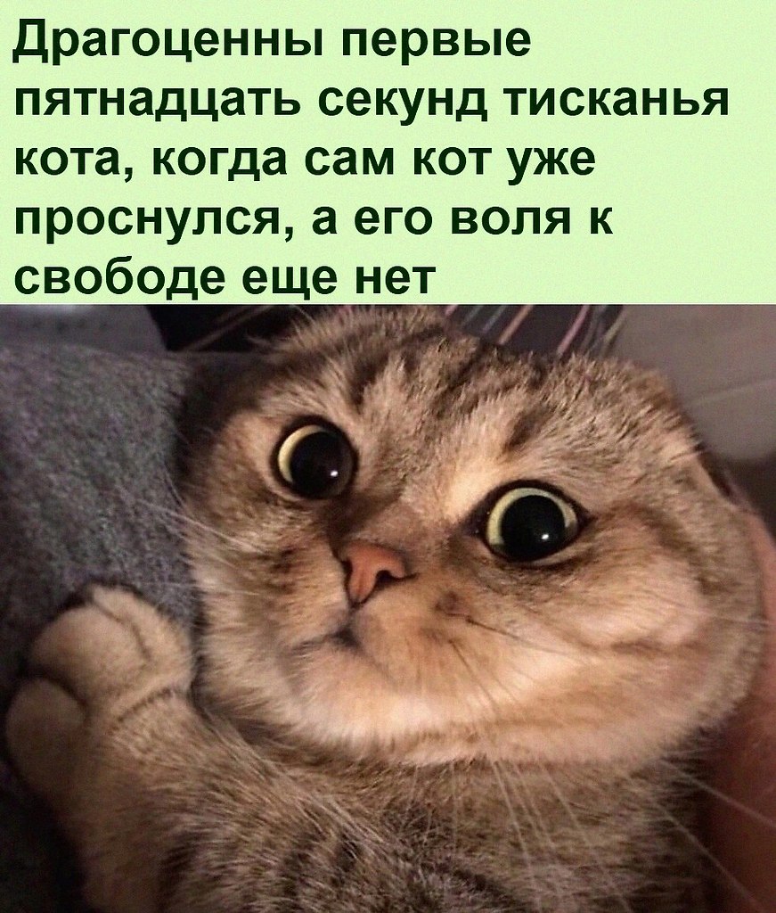      !