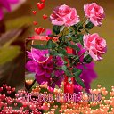 ���� ������, ������ - ��������� 30 ����� 2021 � ������ �������� ��������