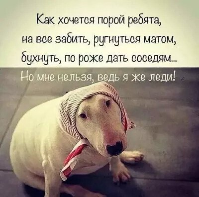 ***Victoria Viktorovna*** - 8  2021  04:45