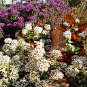 ���� ������, �������, 49 ��� - ��������� 1 ������ 2021 � ������ ���� ����������