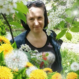 ���� �����, ������ ��������, 56 ��� - ��������� 13 ���� 2021