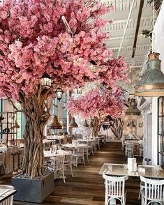 � ���-5 ����������� �o����� �o �a���������� ����o������ � �a���� �o��� ����, ��a��, ������, �e����, ... - 4