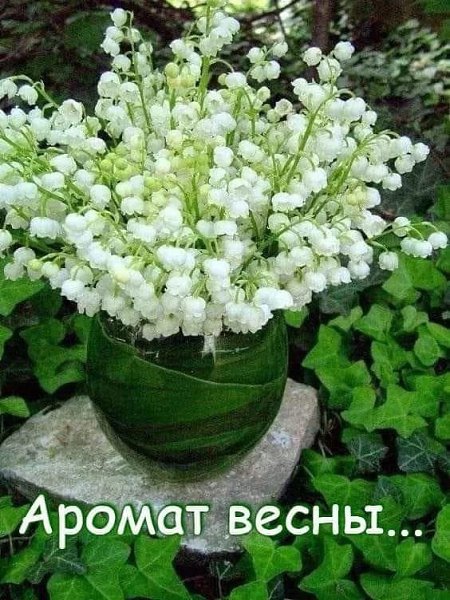   ,    . - 18  2021  22:56 - 2