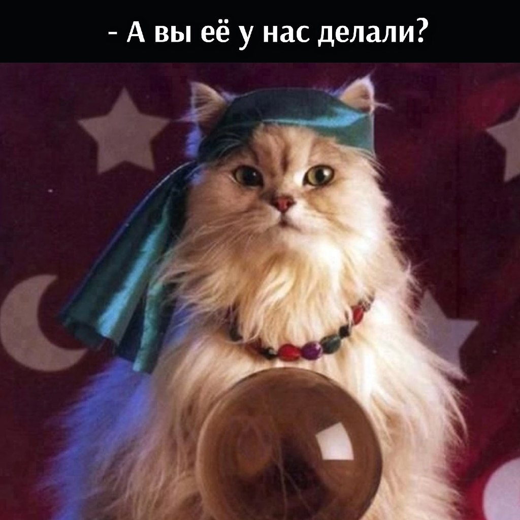       - 29  2021  22:25 - 2