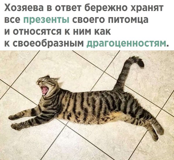    - 30  2021  08:27 - 3