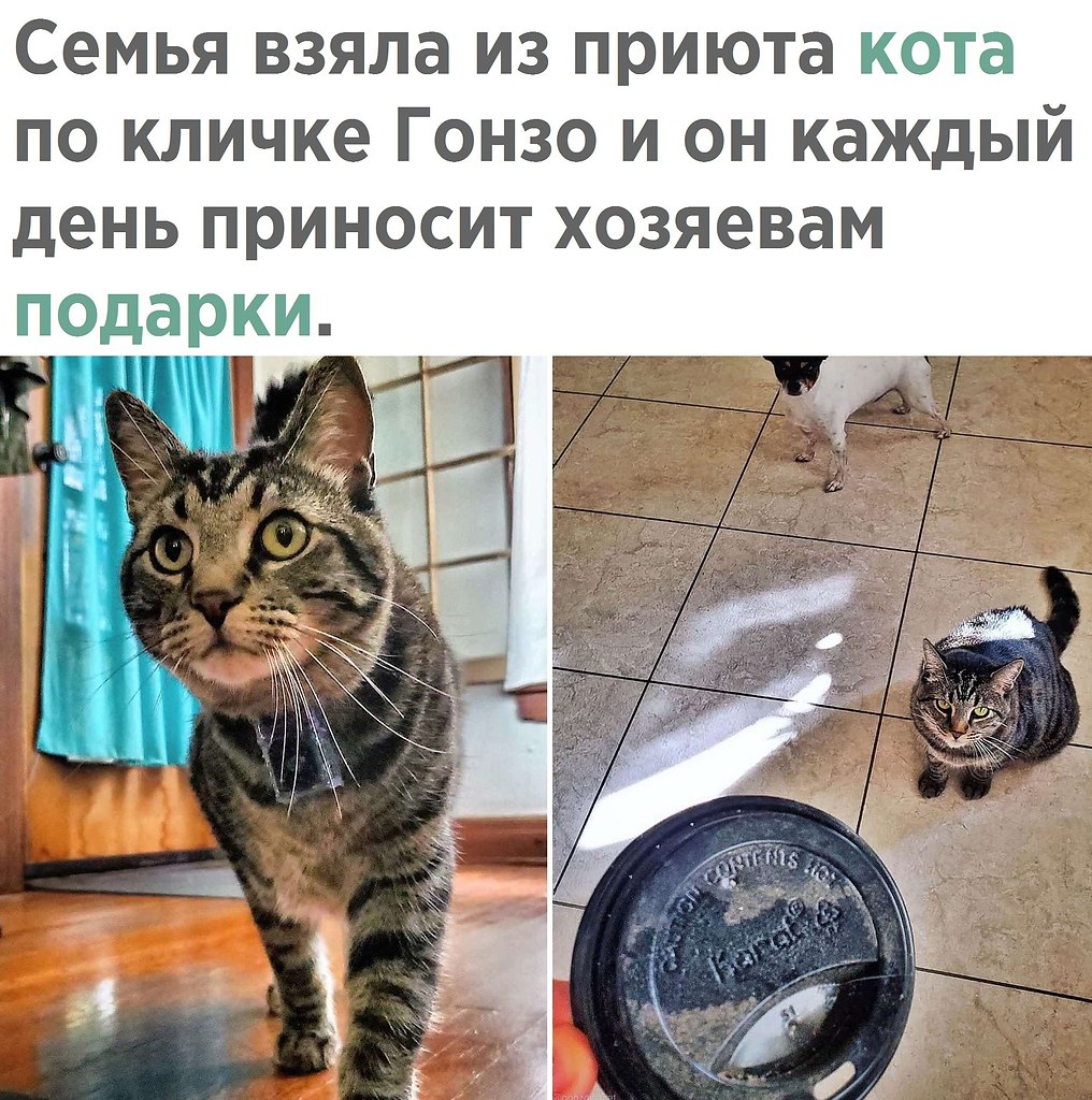    - 30  2021  08:27