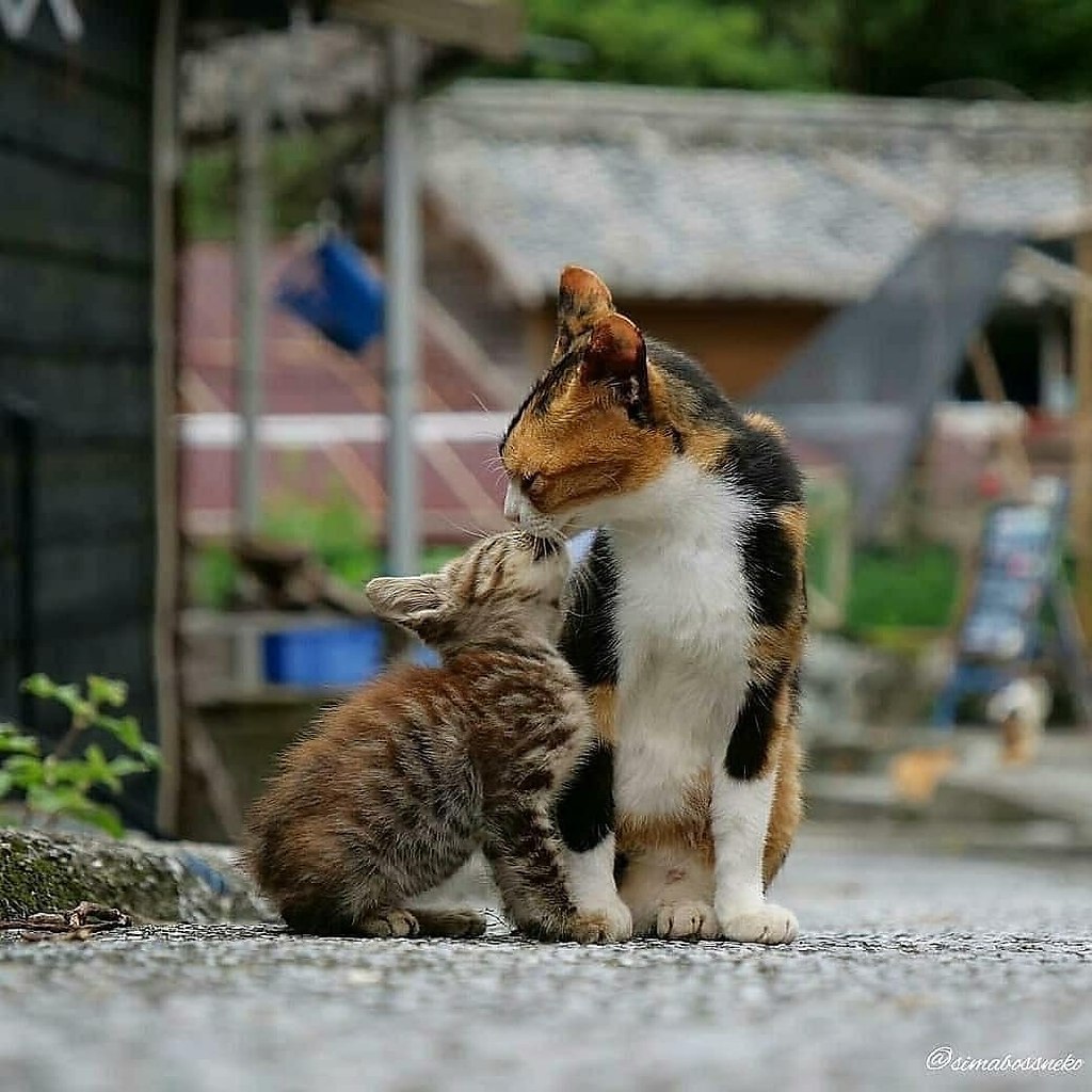         ,     ... - 3