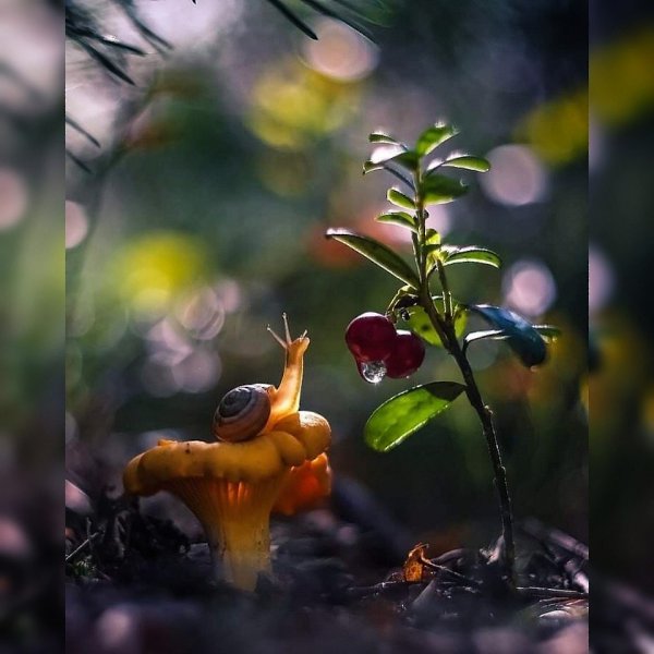 КАЖДЫЙ ВИДИТ ЛИШЬ ТУ КРАСОТУ, ДО КОТОРОЙ ДОРОС..... © Омар Хайям.