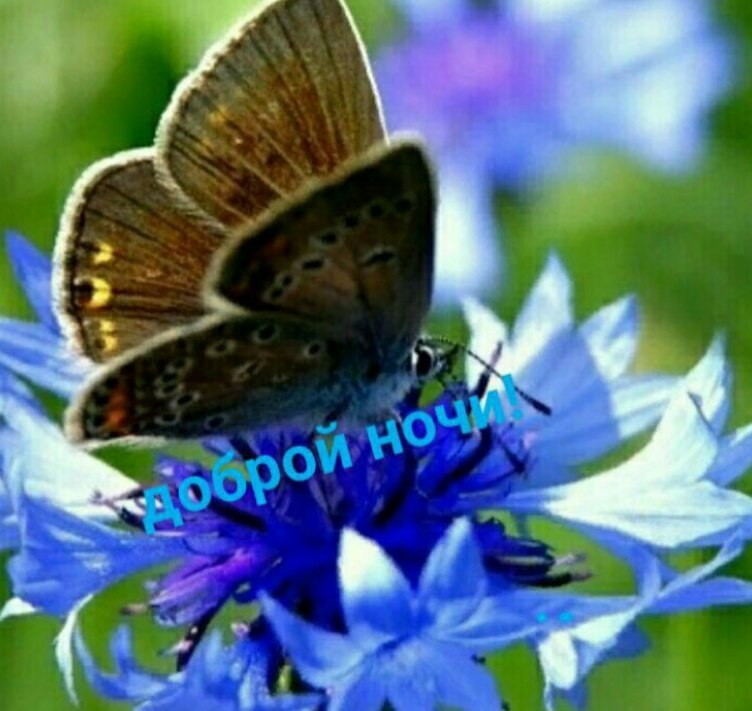   ,    . - 18  2021  22:33 - 2