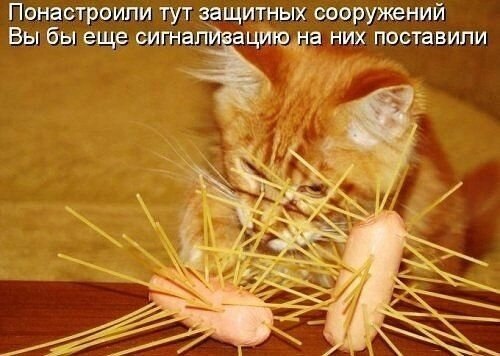    - 9  2021  00:24