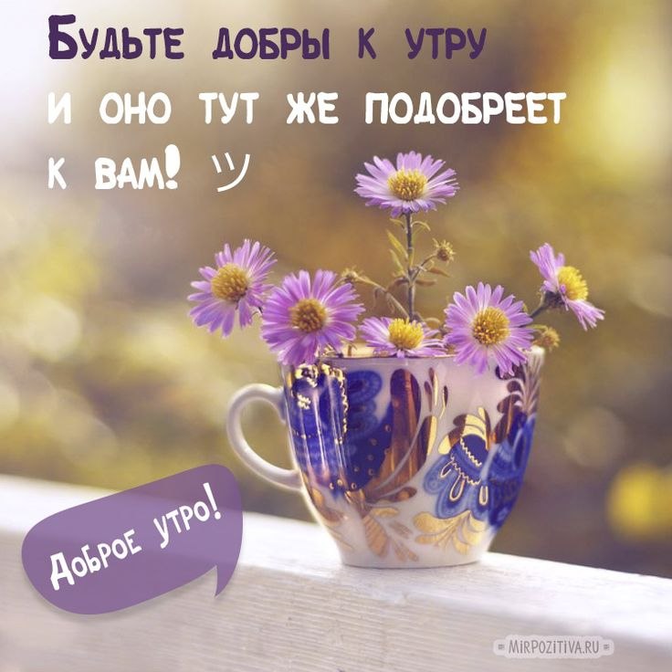   ,    . - 21  2021  23:56 - 6