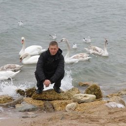 �����, �����������, 35 ���