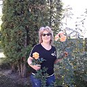 ���� �����, ���������, 66 ��� - ��������� 27 ���� 2021 � ������ ���� ����������