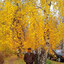 ����, ����������-���������, 66 ���