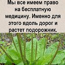 ���� ����, ���������� - ��������� 21 ������� 2021 � ������ �������� � �������)�