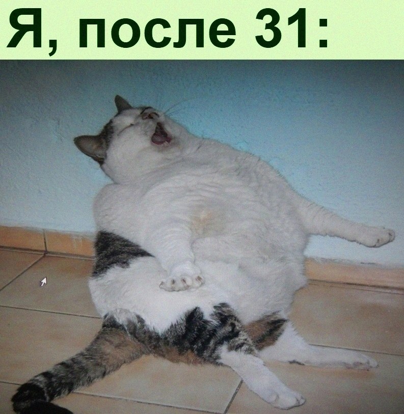   :D - 2  2022  16:29