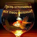 ���� ������, ������ - ��������� 30 ����� 2021 � ������ �������� ��������